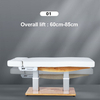سرير تدليك كهربائي كبير الحجم قابل للتعديل لطاولة سبا للبيع